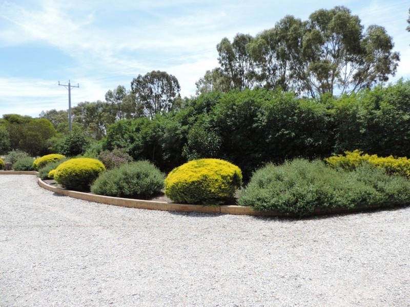 49 Lyons Road, Cohuna VIC 3568