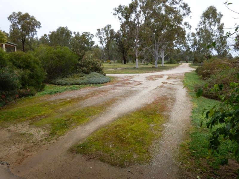 323 East Barham Road, Barham NSW 2732