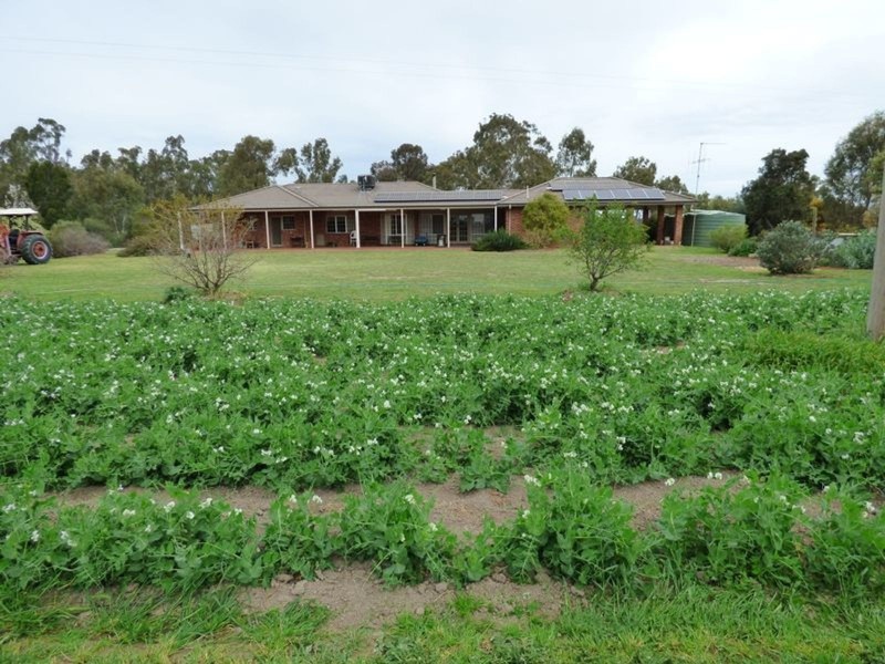 323 East Barham Road, Barham NSW 2732