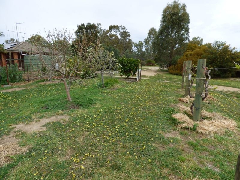 323 East Barham Road, Barham NSW 2732