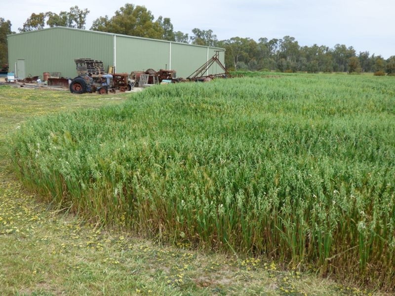 323 East Barham Road, Barham NSW 2732