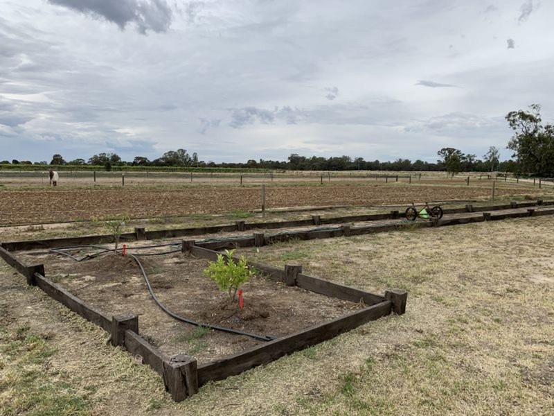 6638 Moulamein Road, Barham NSW 2732