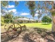 916 Cohuna Island Road, Cohuna VIC 3568