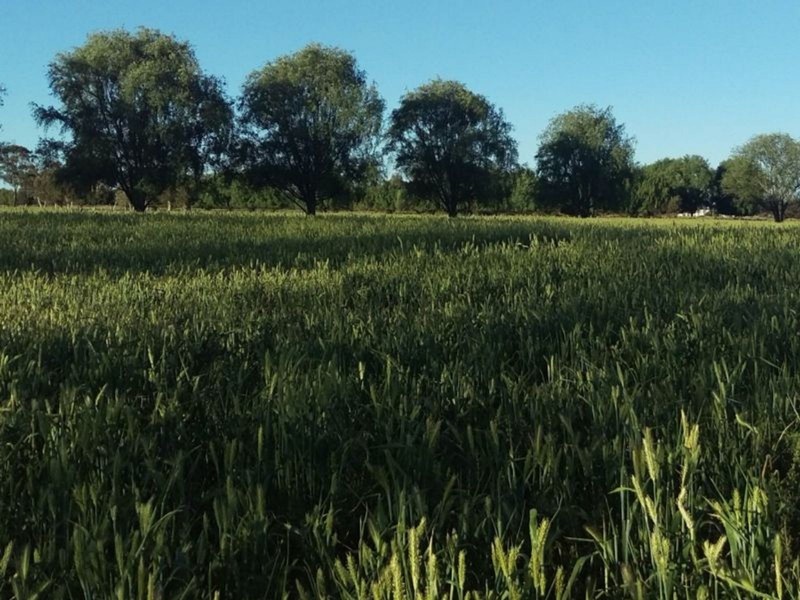 145 Greens Road, Cohuna VIC 3568