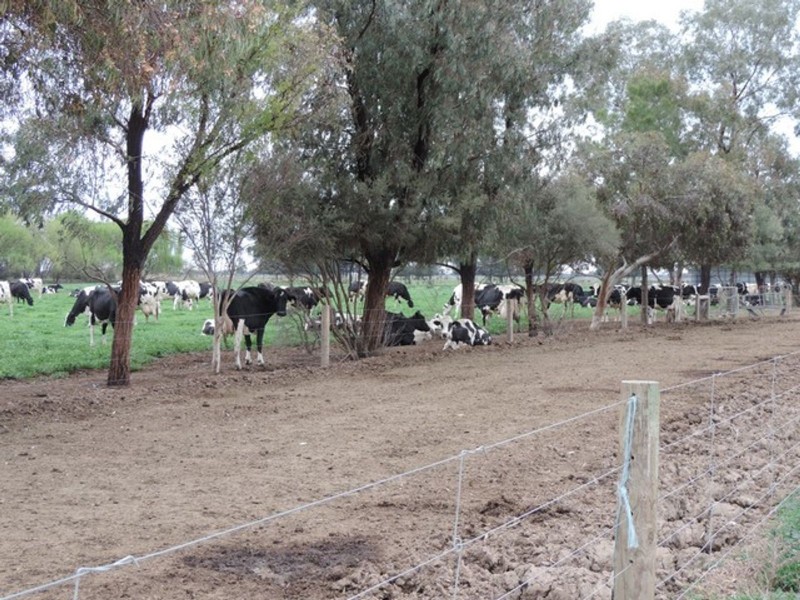 25 Drydens Road, Cohuna VIC 3568