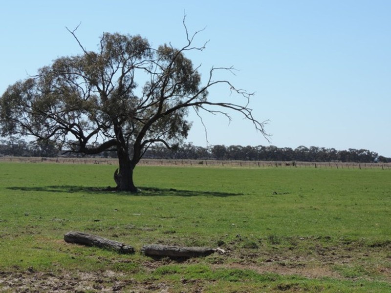 108 Lyons Road, Milnes Bridge VIC 3579