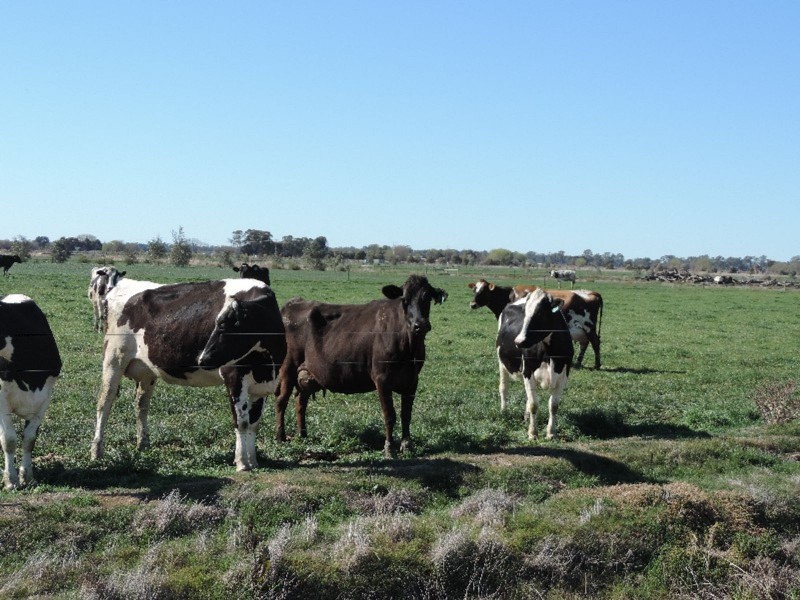 223 Keely Station Road, Keely VIC 3568