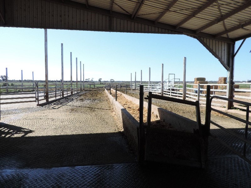 223 Keely Station Road, Keely VIC 3568