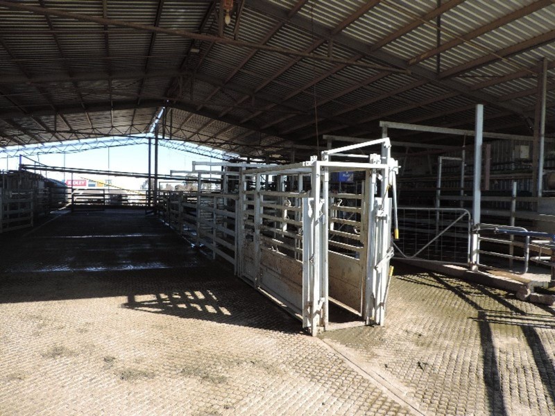 223 Keely Station Road, Keely VIC 3568