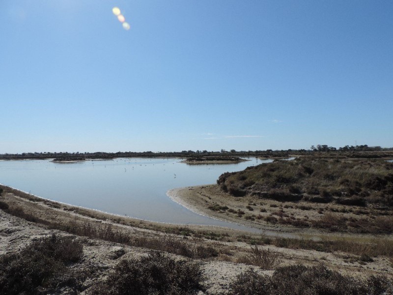 223 Keely Station Road, Keely VIC 3568