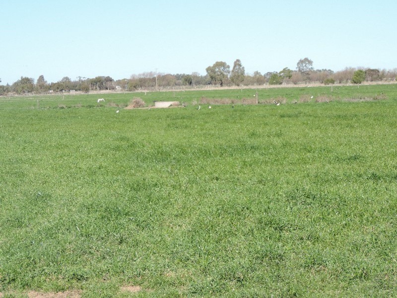 223 Keely Station Road, Keely VIC 3568