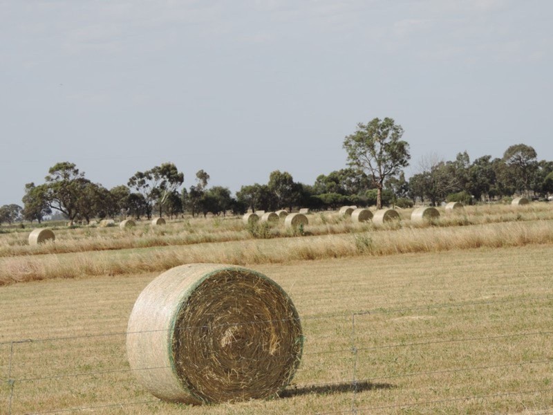 7681 Murray Valley Highway, Milnes Bridge VIC 3579