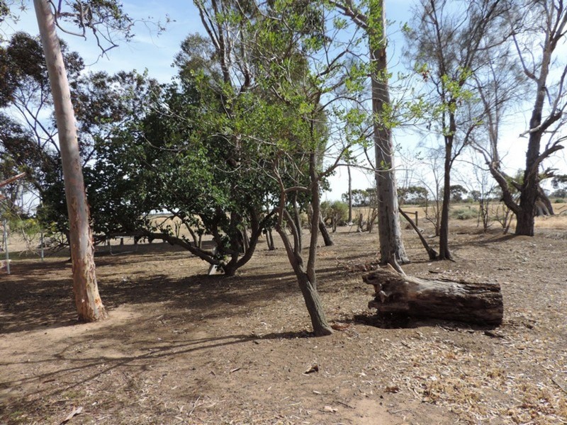 7681 Murray Valley Highway, Milnes Bridge VIC 3579