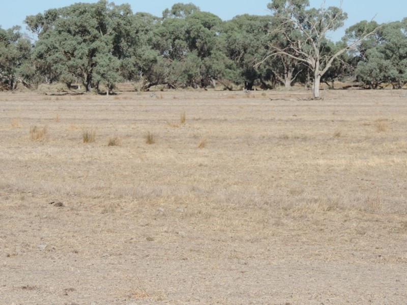 00 Pyramid – Leitchville Road, Leitchville VIC 3567