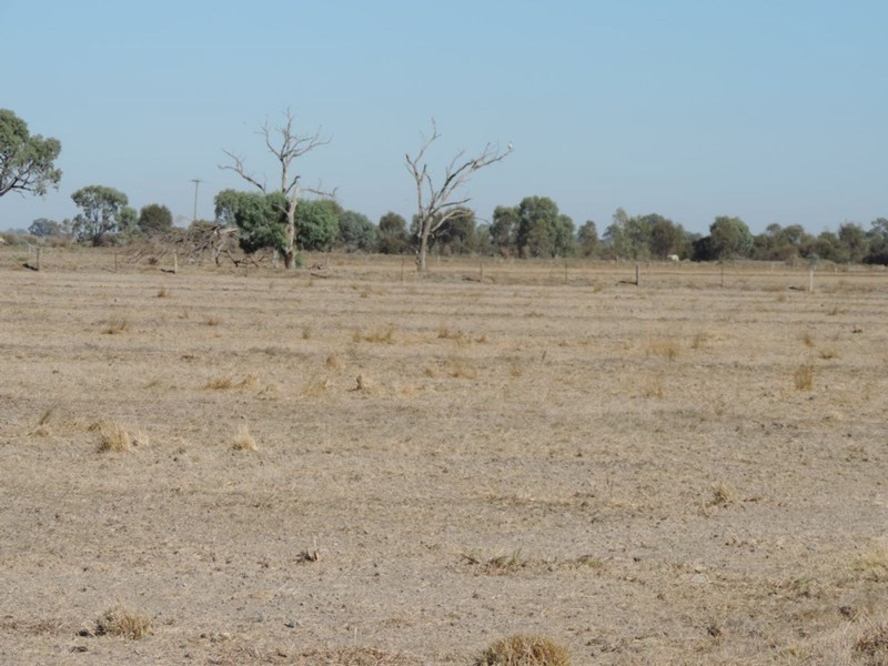 00 Pyramid – Leitchville Road, Leitchville VIC 3567