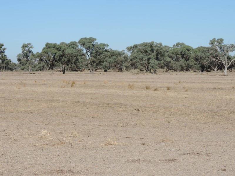 00 Pyramid – Leitchville Road, Leitchville VIC 3567