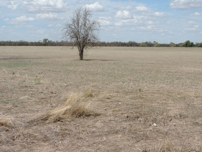 371 Cohuna Island Road, Cohuna VIC 3568