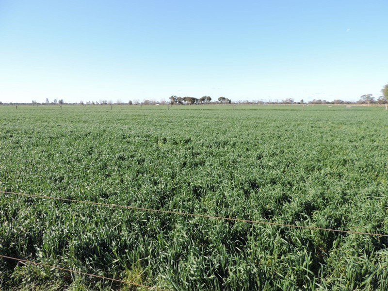 18 Lyons Road, Milnes Bridge VIC 3579