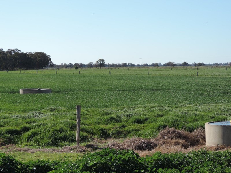 18 Lyons Road, Milnes Bridge VIC 3579