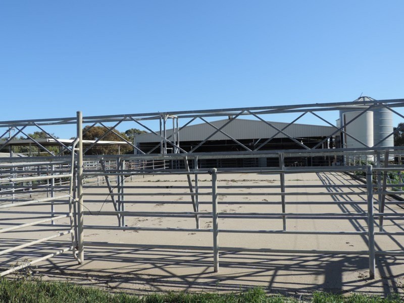 18 Lyons Road, Milnes Bridge VIC 3579