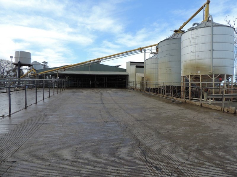 1433 Leitchville-Kerang Road, Mcmillans VIC 3568