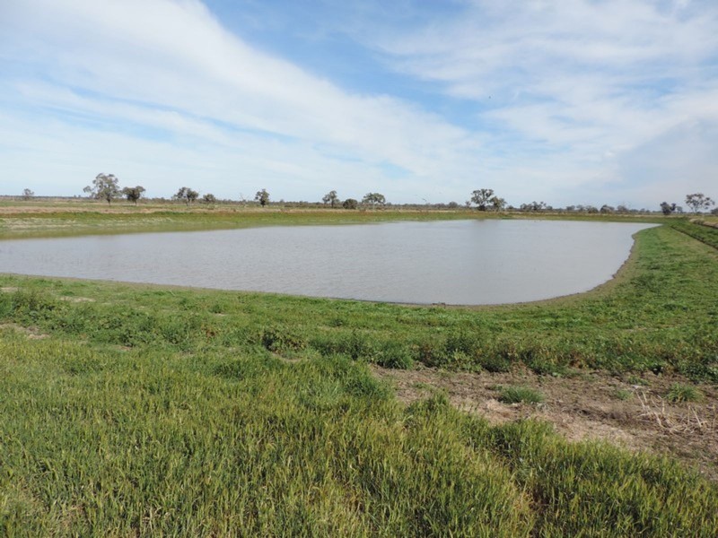 1433 Leitchville-Kerang Road, Mcmillans VIC 3568