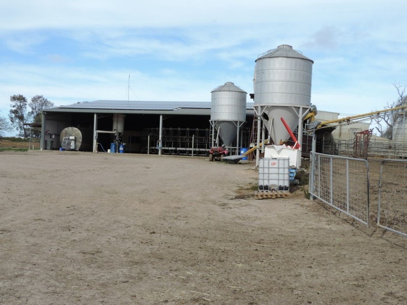 1433 Leitchville-Kerang Road, Mcmillans VIC 3568