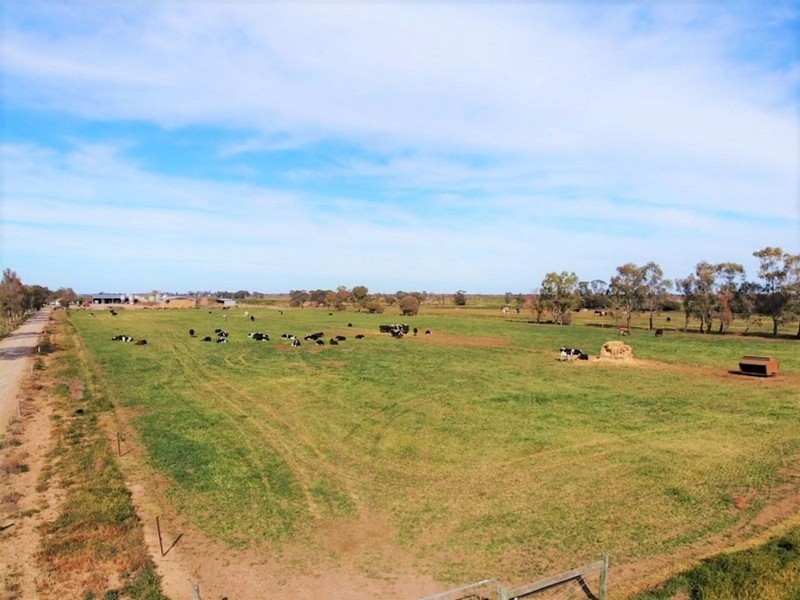 1433 Leitchville-Kerang Road, Mcmillans VIC 3568