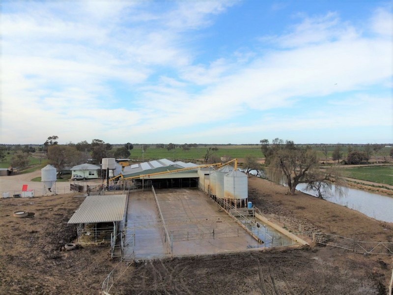 1433 Leitchville-Kerang Road, Mcmillans VIC 3568