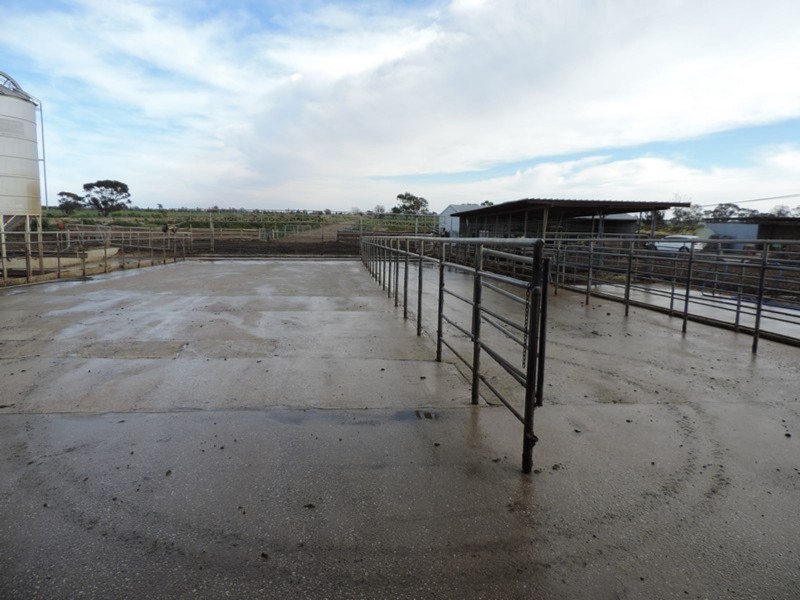 1433 Leitchville-Kerang Road, Mcmillans VIC 3568