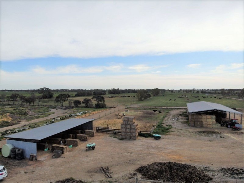 1433 Leitchville-Kerang Road, Mcmillans VIC 3568