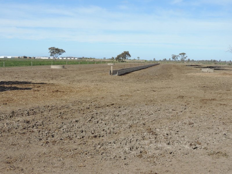 1433 Leitchville-Kerang Road, Mcmillans VIC 3568