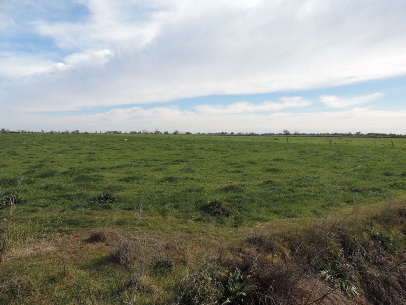 1433 Leitchville-Kerang Road, Mcmillans VIC 3568