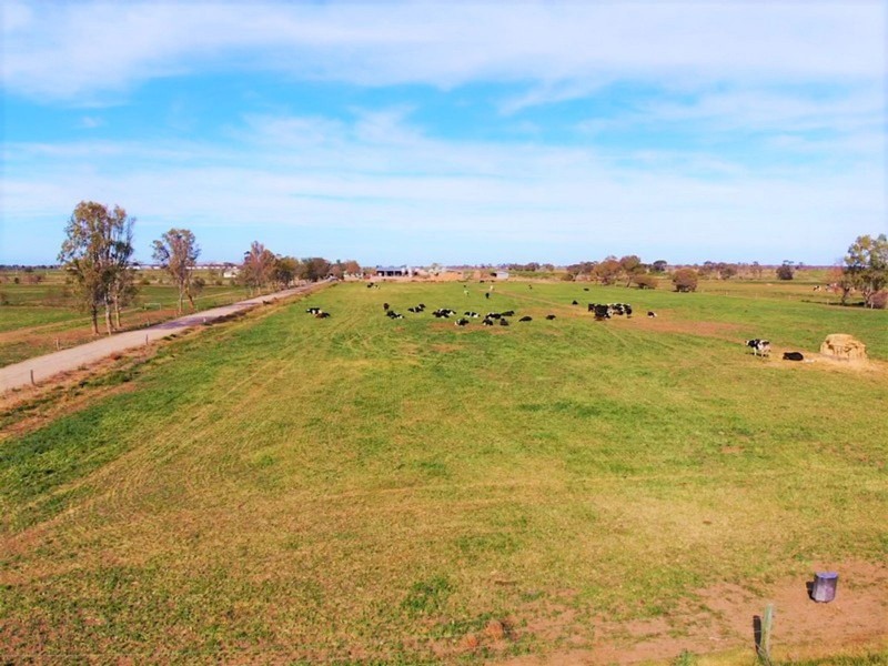 1433 Leitchville-Kerang Road, Mcmillans VIC 3568