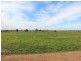 1433 Leitchville-Kerang Road, Mcmillans VIC 3568