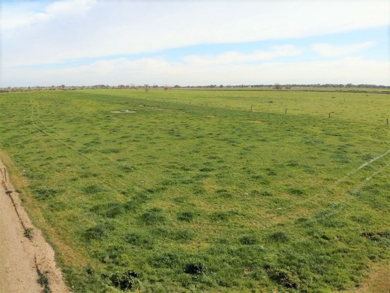 1433 Leitchville-Kerang Road, Mcmillans VIC 3568