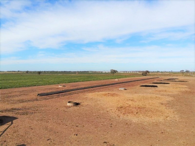 1433 Leitchville-Kerang Road, Mcmillans VIC 3568