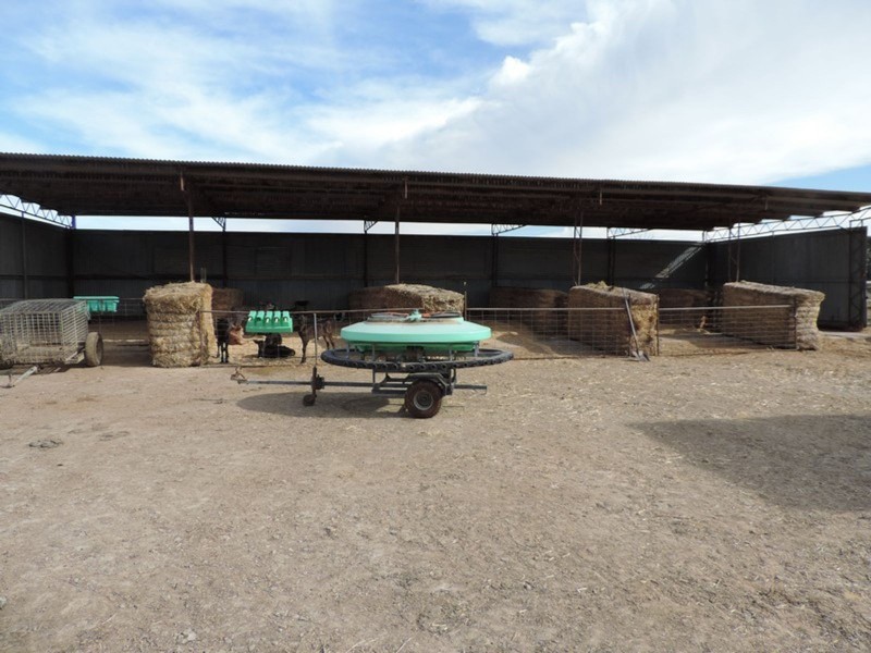 1433 Leitchville-Kerang Road, Mcmillans VIC 3568