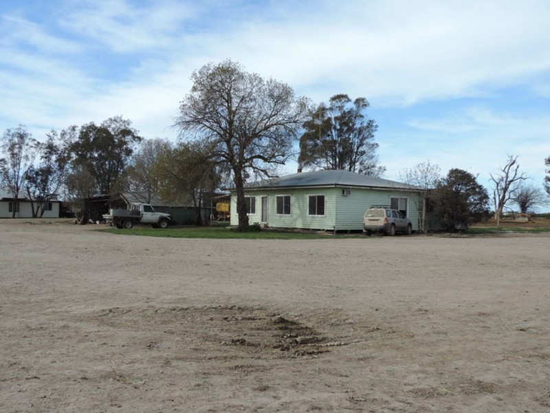 1433 Leitchville-Kerang Road, Mcmillans VIC 3568