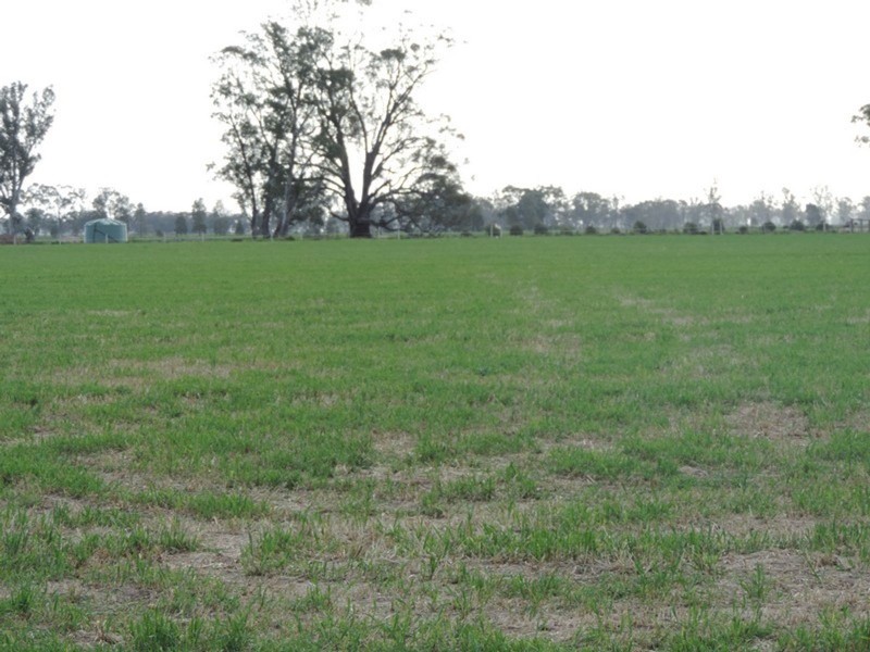 1751 Kerang-Koondrook Road, Teal Point VIC 3579