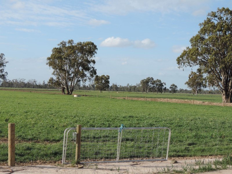 1751 Kerang-Koondrook Road, Teal Point VIC 3579