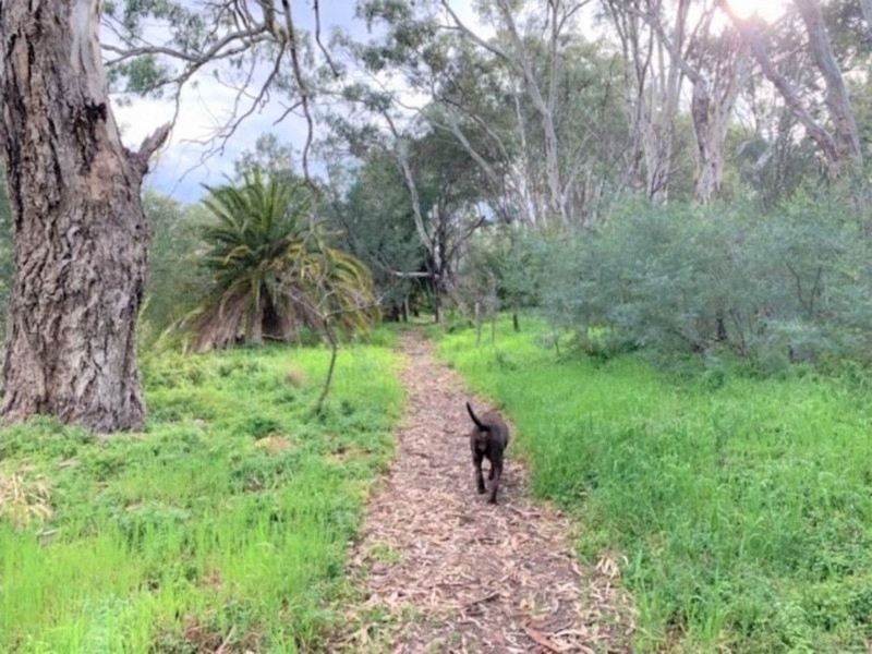 00 Little Forest Lane, Barham NSW 2732