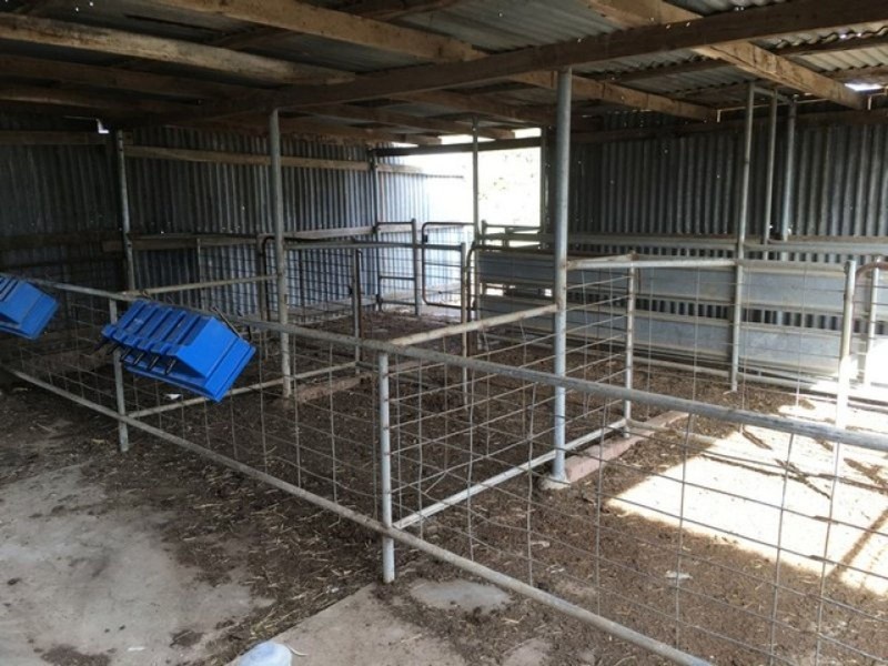 196 Kervin’s Road, Cohuna VIC 3568