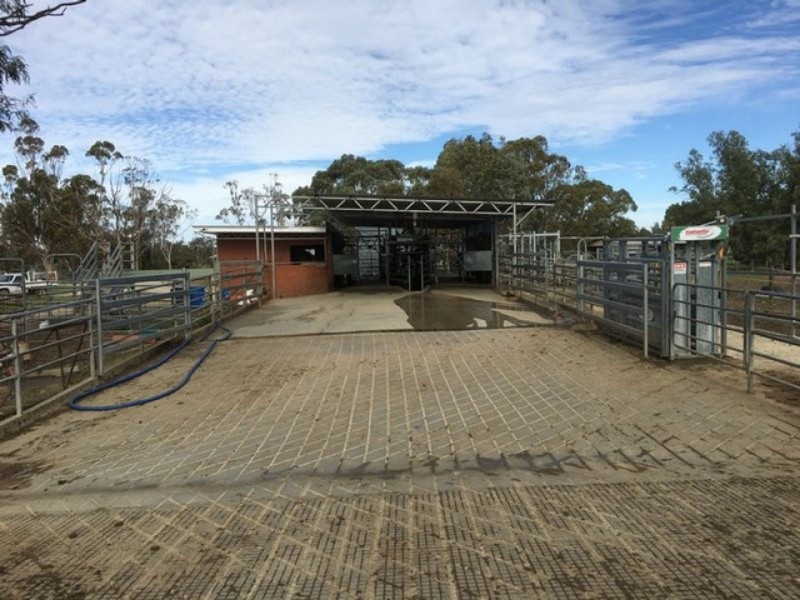 196 Kervin’s Road, Cohuna VIC 3568