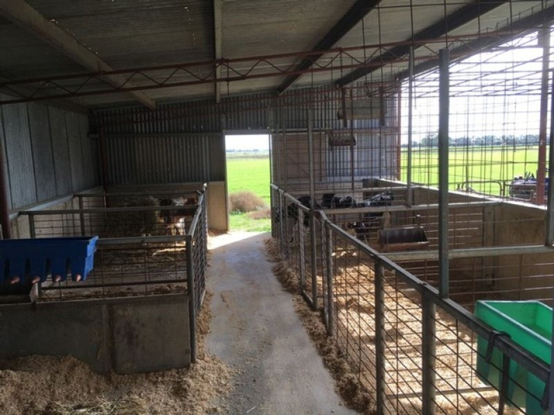 196 Kervin’s Road, Cohuna VIC 3568