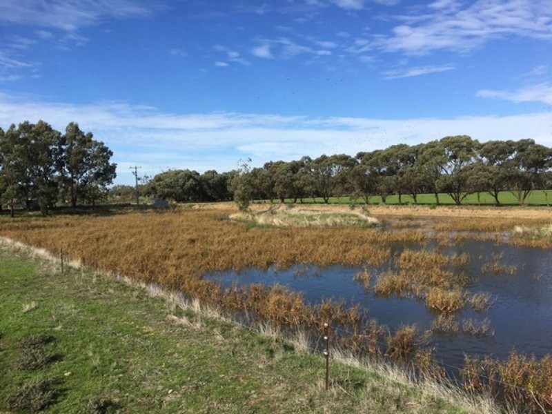 196 Kervin’s Road, Cohuna VIC 3568