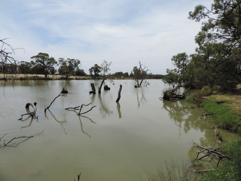 173 Patho School Road, Patho VIC 3564