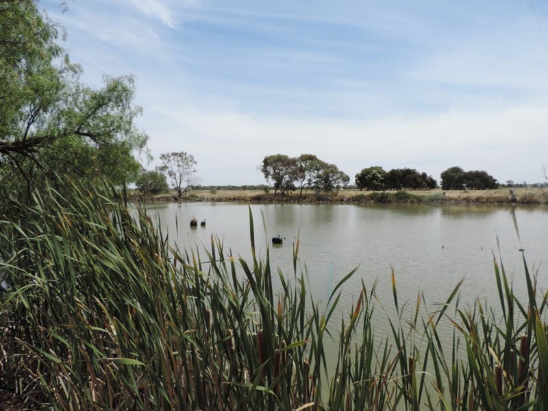 173 Patho School Road, Patho VIC 3564