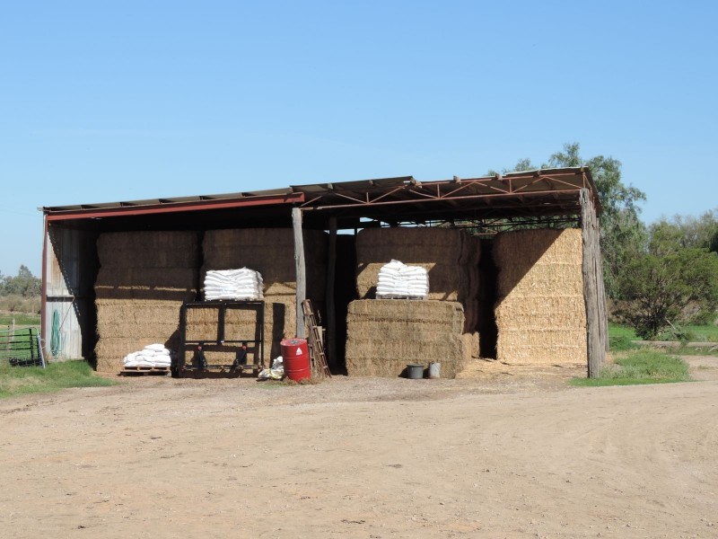 109 Leitchville-Pyramid Road, Leitchville VIC 3567