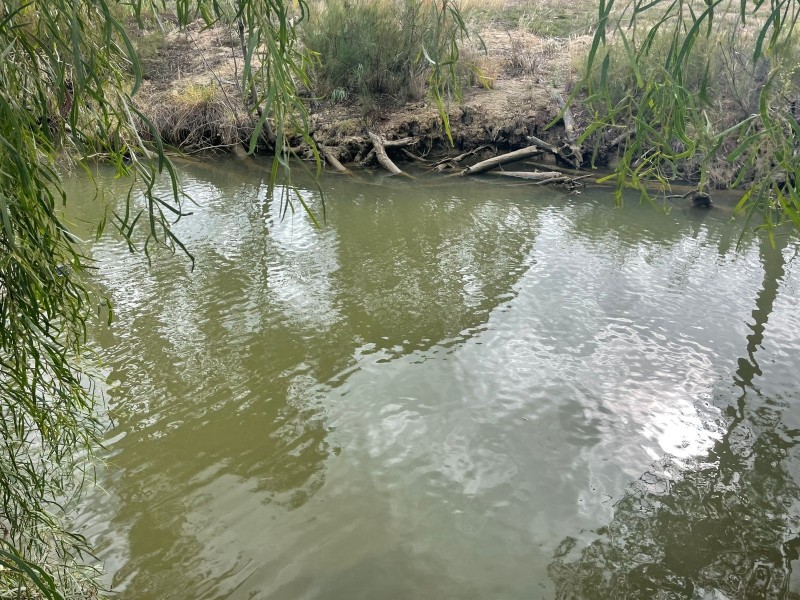 137 East Barham Road, Barham NSW 2732